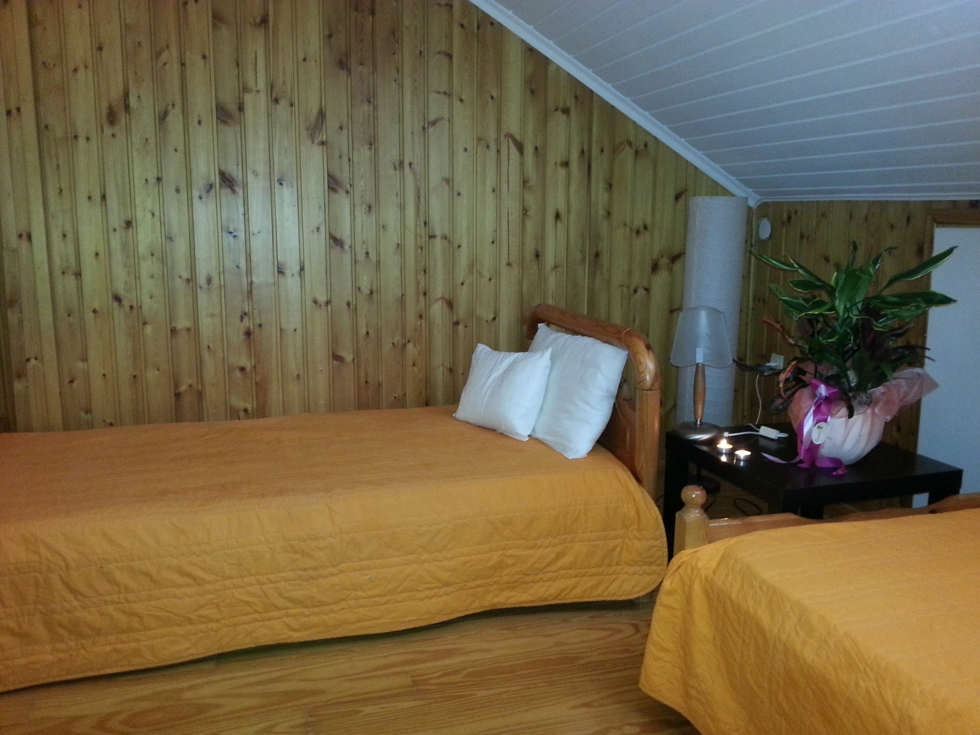 Lefkada Center Apartments Bagian luar foto
