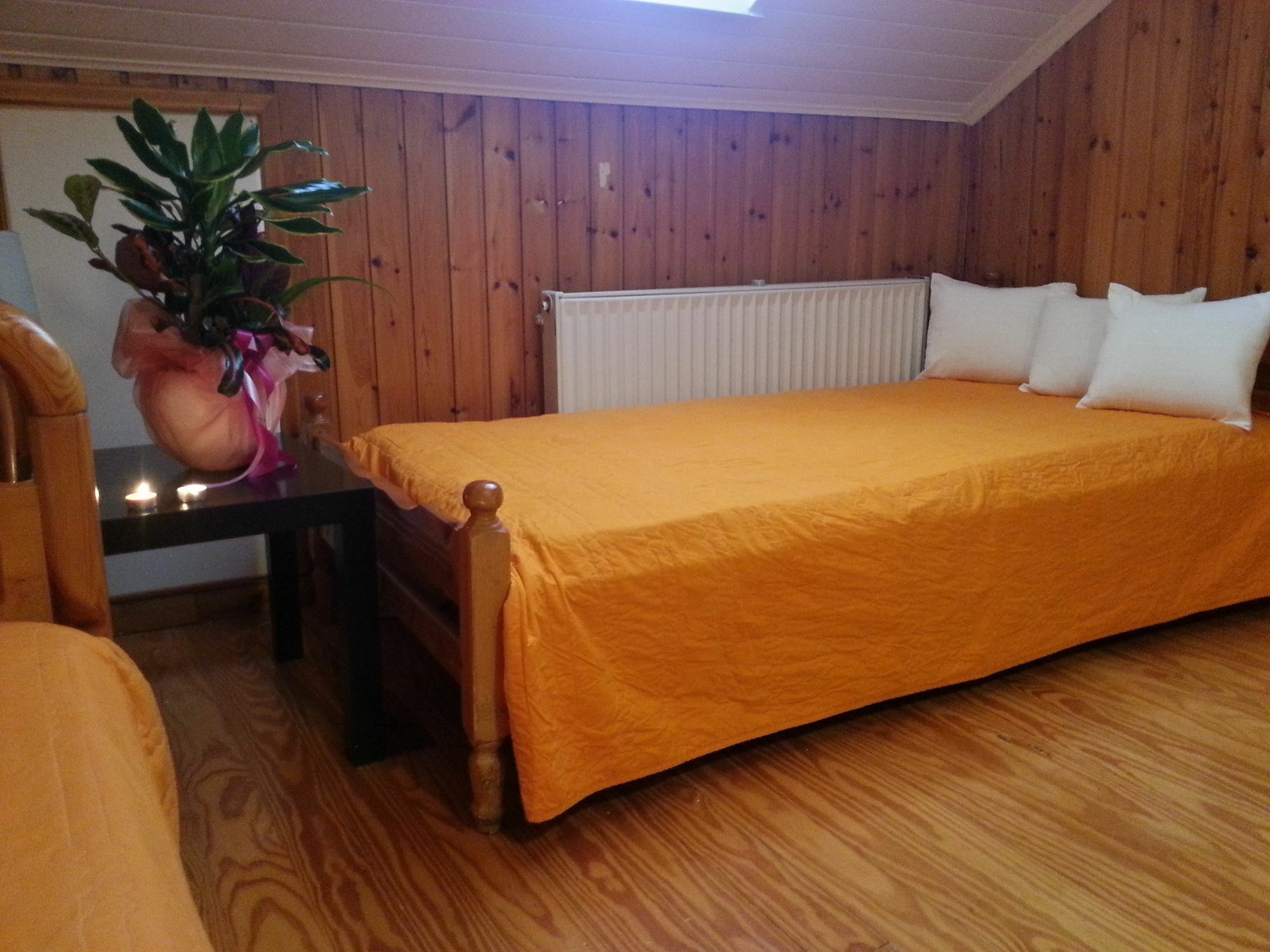 Lefkada Center Apartments Bagian luar foto